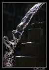H2O H2O