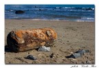 Il mare  onesto, ci rende quello che non  suo...