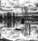 Come in un sogno........ Come in un sogno........