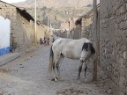 non ci sono macchine, non ci sono biciclette