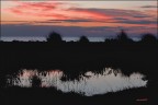 after the storm...the evening after the storm...the evening