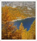 giallo ocra giallo ocra