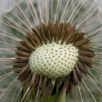 Un alito di vento Un alito di vento