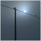 Caldo/Freddo Caldo/Freddo