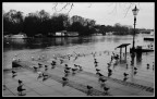 London... London...