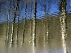 Riflessi ribelli