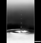 ::: BIANCO E NERO ::: ::: BIANCO E NERO :::