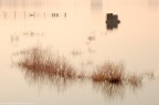 Quiet