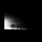 Nella nebbia Nella nebbia