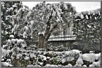 Hdr Ulivo!!! Hdr Ulivo!!!