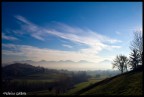 Vista Delle colline asolane da una collinetta di castelcucco..