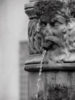 Metafora...

Fontana dell'acquedotto Nottolini

Panasonic fz50 iso 200 t 1/200 f 5 420mm + raynox 2020