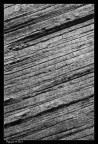 Legno Legno