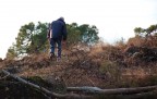 Camminata nel bosco, dopo l'incendio