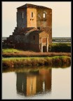 Ruderi alle saline Ruderi alle saline