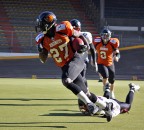 Rhinos Milano: football americano Rhinos Milano: football americano