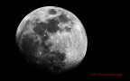 La luna! La luna!
