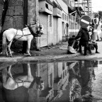 Marrakech - 3 Febbraio 2009 Marrakech - 3 Febbraio 2009