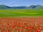 ...PIAN GRANDE... ...PIAN GRANDE...