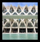 El Museu de les Ciències Príncipe Felipe El Museu de les Ciències Príncipe Felipe
