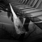 Rive del Po 2, 2009 Rive del Po 2, 2009