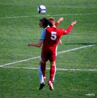 Testata aerea Testata aerea