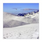 monte Farno #5 monte Farno #5