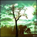 Tà upsalà dendra Tà upsalà dendra