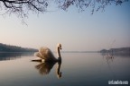 L'incantesimo del lago... L'incantesimo del lago...
