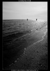 looking for