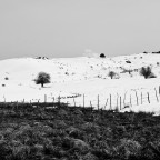 L'ultima neve L'ultima neve