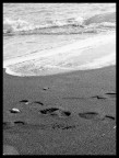 Contropiede Contropiede