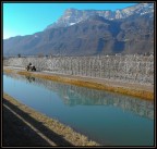 meleto surgelato riflesso nel canale... meleto surgelato riflesso nel canale...