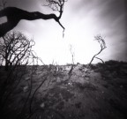 pinhole pinhole