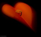 Sex & Love 2 Sex & Love 2