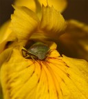 ...e questa è casa mia... ...e questa è casa mia...