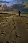 Verso il set Verso il set