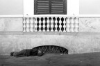 Roma, Piazza dell'Esquilino.