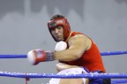 Un po di boxe Un po di boxe