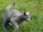 Catch me if you can Catch me if you can