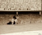 Bologna, 27.03.09
A Piazza del Nettuno, davanti la Sala Borsa adibita a mediateca comunale, un ragazzo  assorto nelle sue letture; sopra di lui le foto dei partigiani fucilati dai nazisti proprio davanti quella parete.