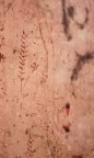 Graffiti contadini