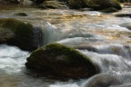 torrente torrente