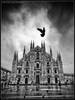 milano, pioggia, duomo milano, pioggia, duomo