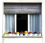 la finestra sulla strada la finestra sulla strada