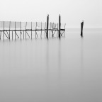 Loneliness Loneliness