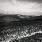 In all this place of silence... In all this place of silence...