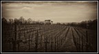 panorama sepppia