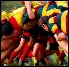 Scrum Scrum