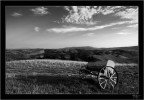 Paesaggio agreste Paesaggio agreste